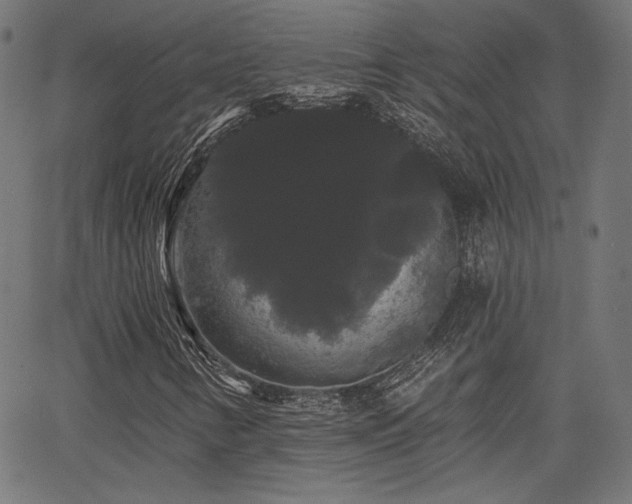 X0000065991346200603031145