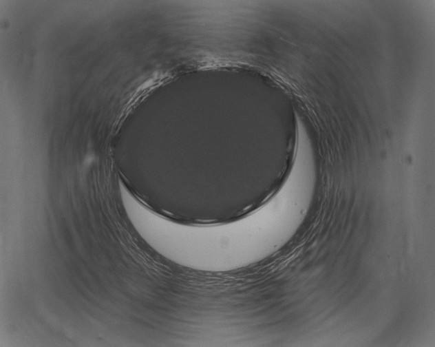 X0000065991348200603031145