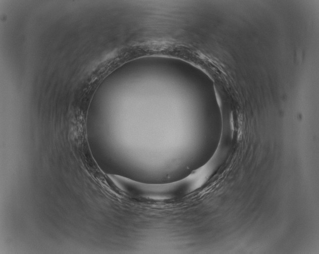 X0000065991349200603031145