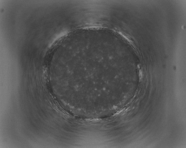 X0000065991351200603031145