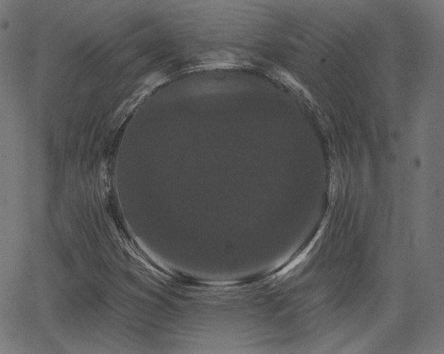 X0000065991353200603031145
