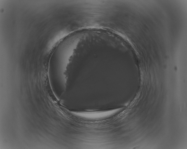 X0000065991359200603031145