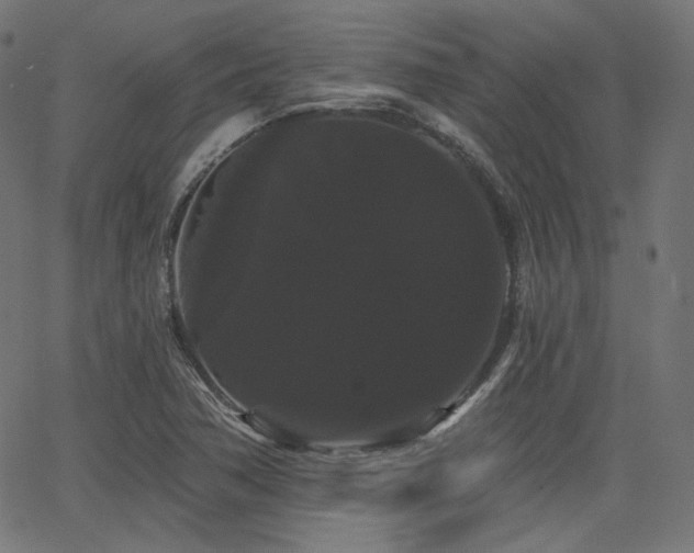 X0000065991362200603031145