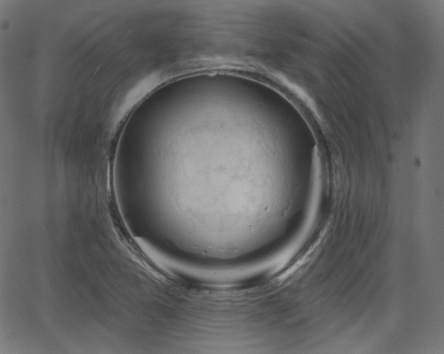 X0000065991365200603031144