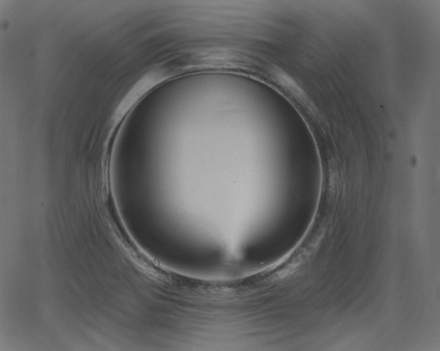 X0000065991370200603031144