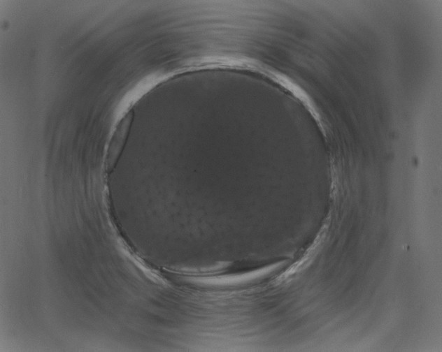 X0000065991373200603031144