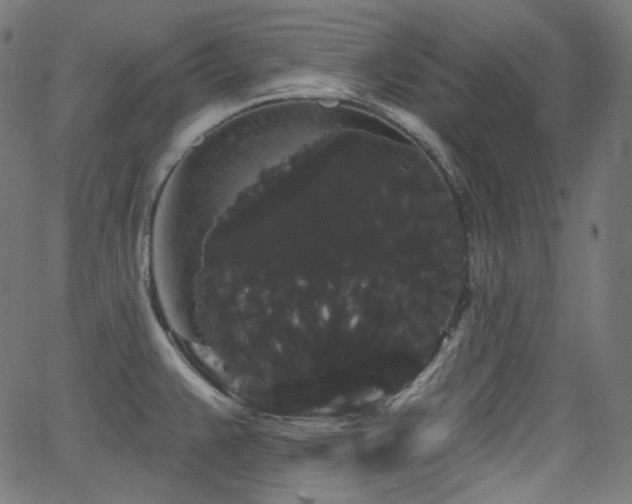 X0000065991383200603031144