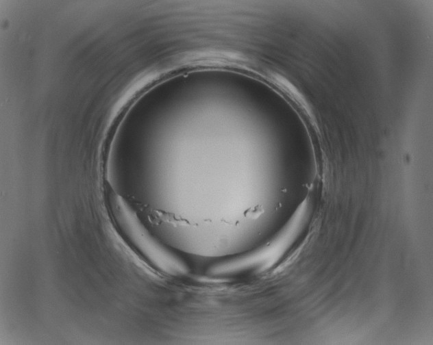 X0000065991384200603031144