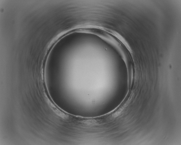 X0000065991388200603031144
