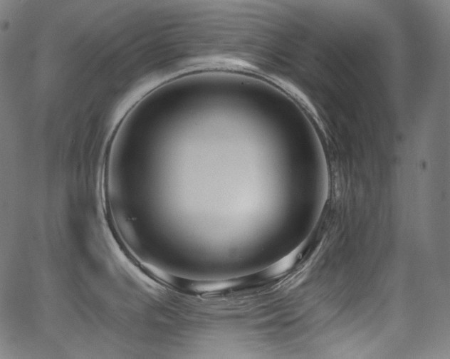 X0000065991391200603031144