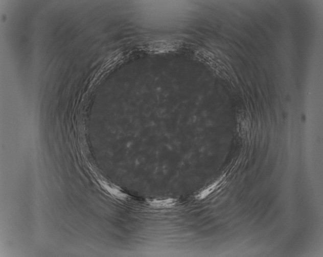 X0000065991393200603031143