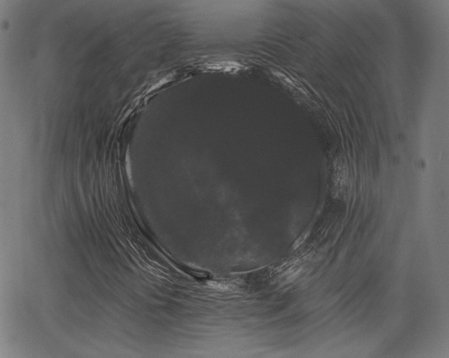 X0000065991394200603031143