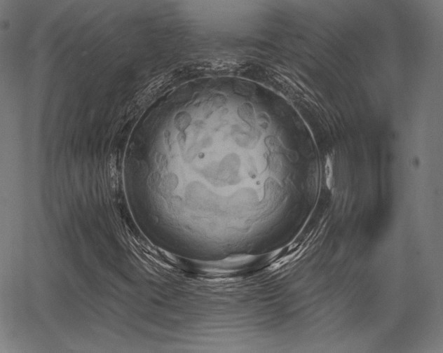 X0000065991395200603031143