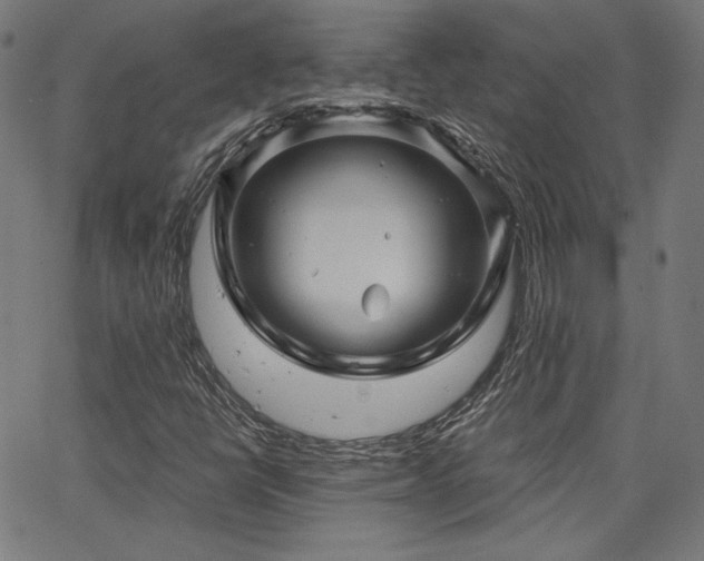 X0000065991398200603031143