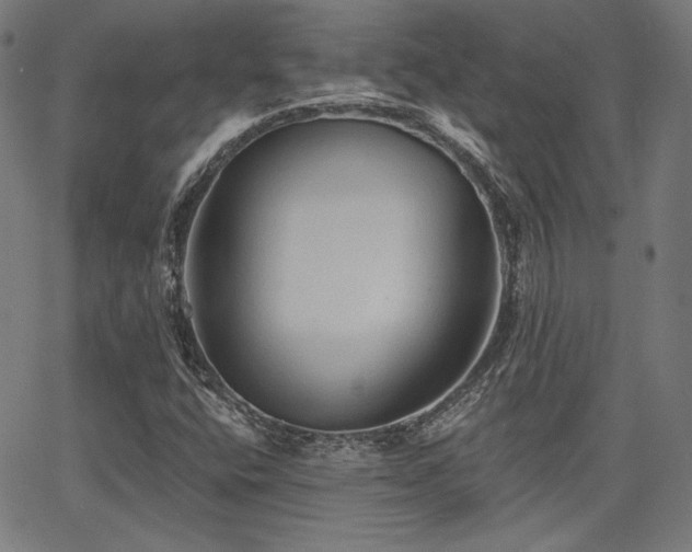 X0000065991400200603031143