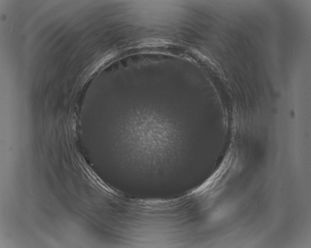 X0000065991401200603031143