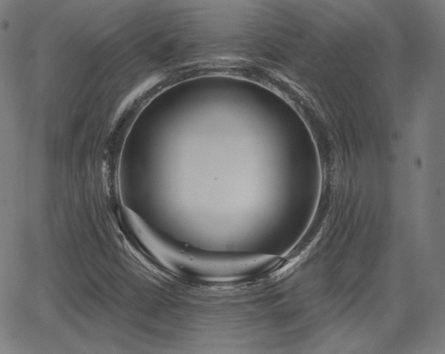 X0000065991402200603031143