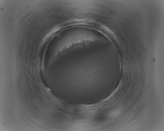 X0000065991411200603031144