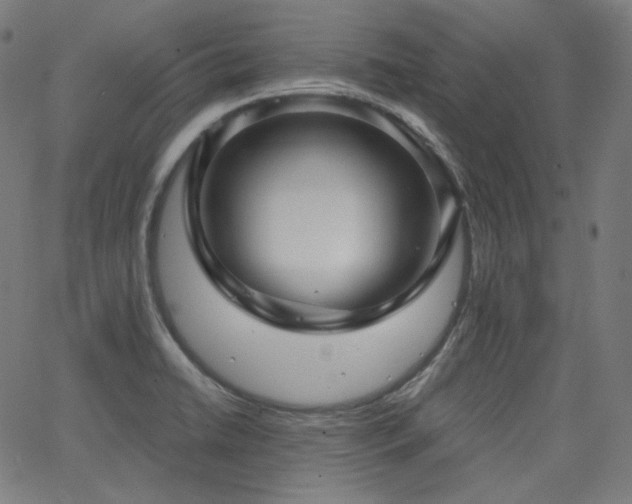 X0000065991422200603031144
