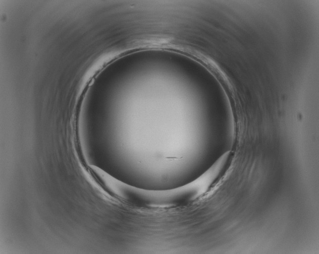X0000065991432200603031144