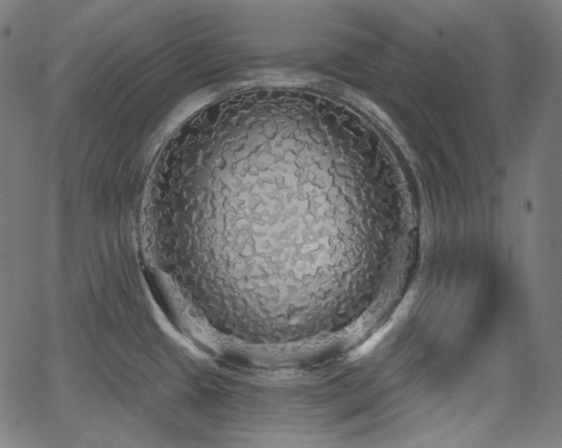 X0000065991433200603031144
