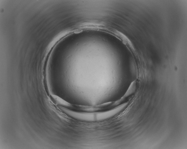 X0000065991435200603031144