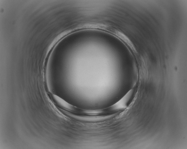 X0000065991436200603031144