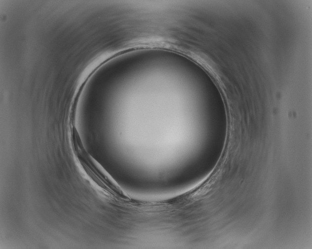 X0000065991440200603031144