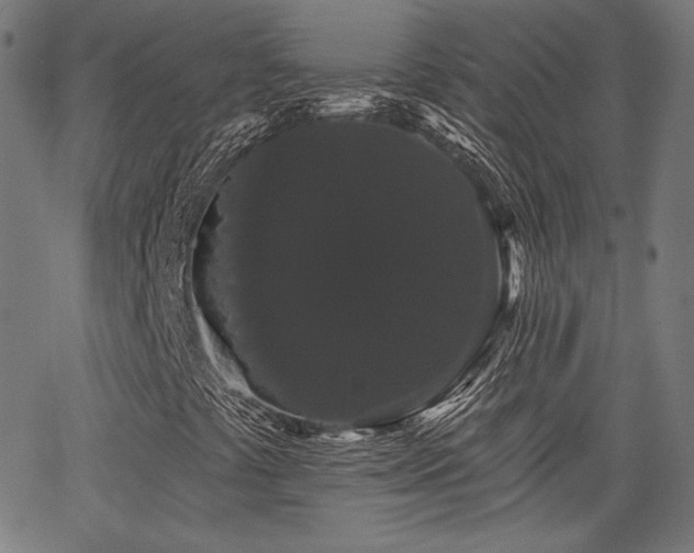 X0000065991441200603031143