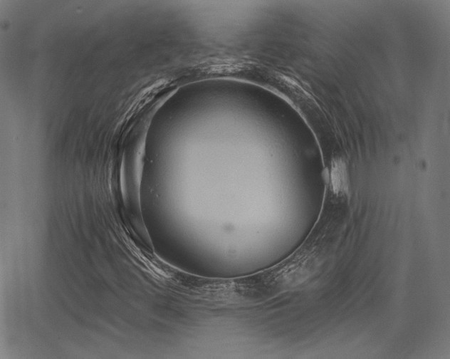 X0000065991444200603031143