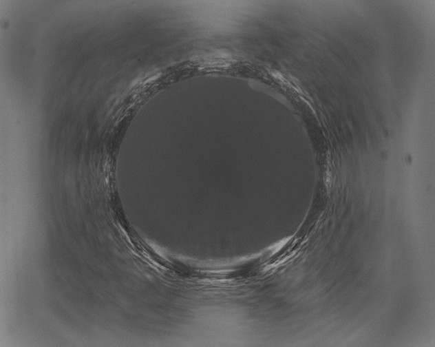 X0000065991445200603031143