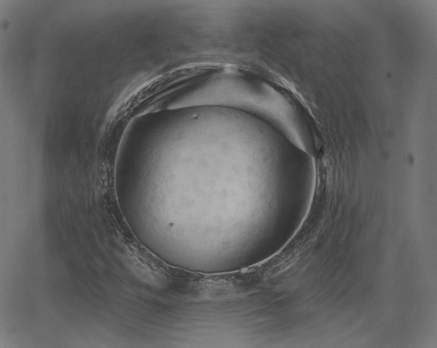 X0000065991448200603031143