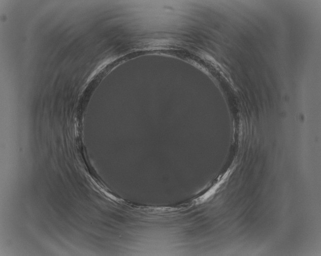 X0000065991449200603031143