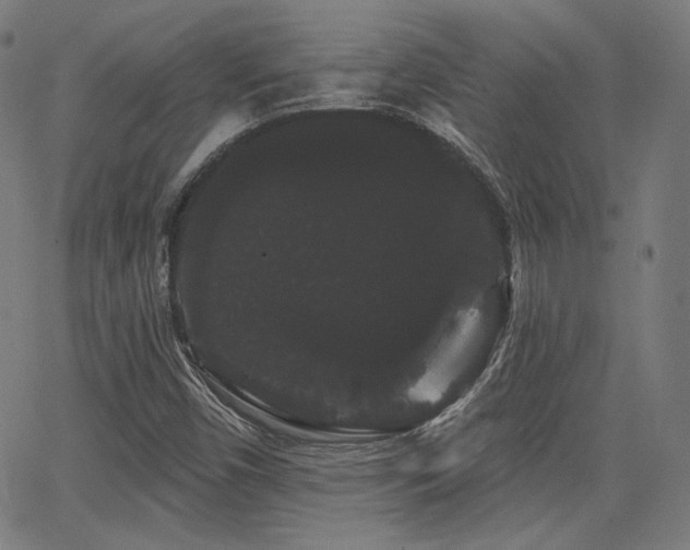 X0000065991450200603031143