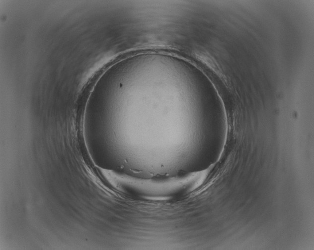 X0000065991452200603031143