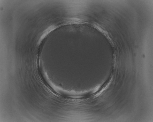 X0000065991453200603031143