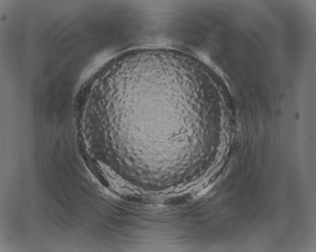 X0000065991456200603031143