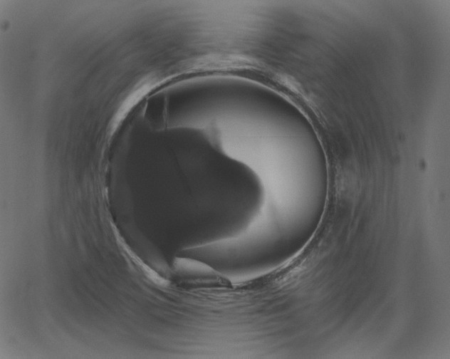 X0000065991459200603031143