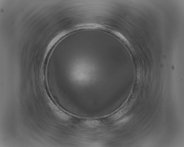 X0000065991466200603031143