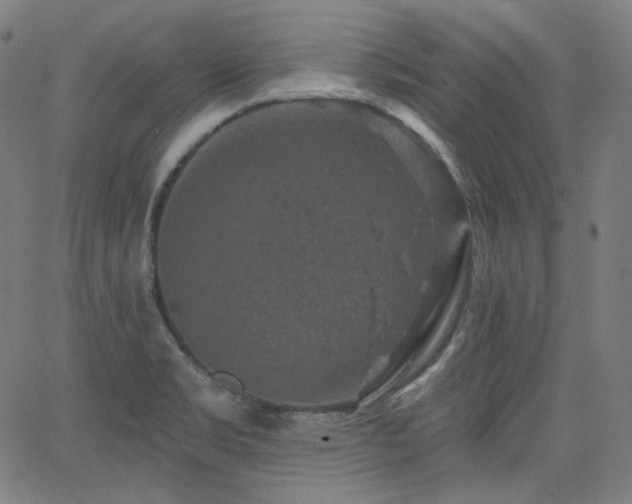 X0000065991469200603031143