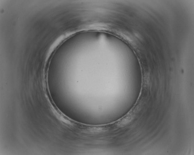 X0000065991470200603031143