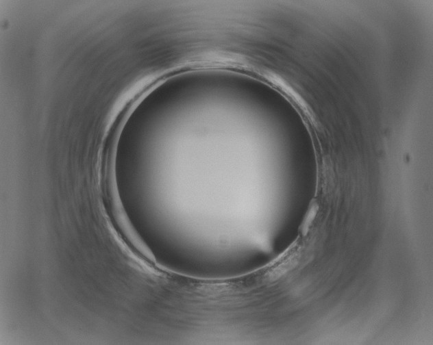 X0000065991477200603031143