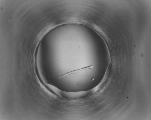 X0000065991479200603031143