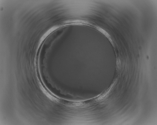 X0000065991482200603031143