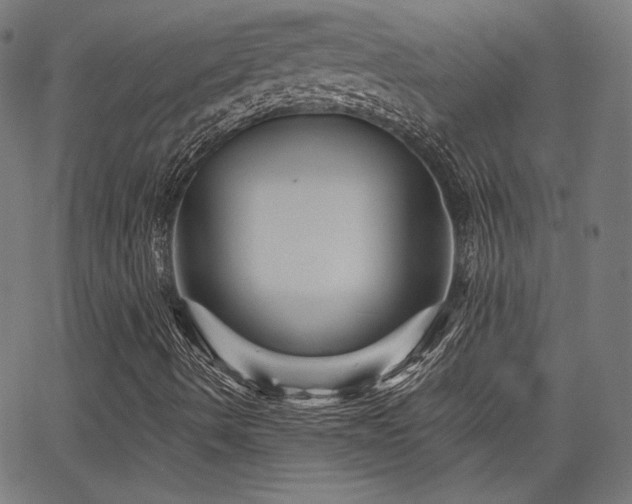 X0000065991490200603031142