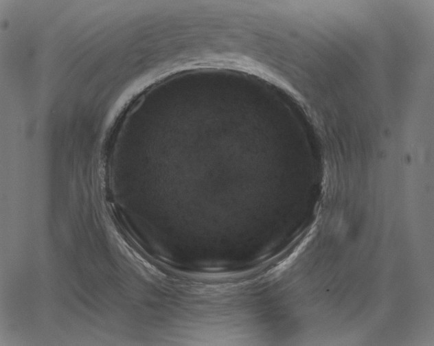 X0000065991506200603031142