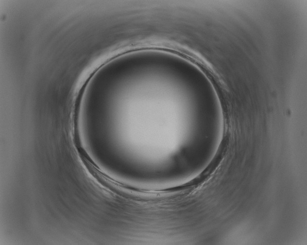 X0000065991512200603031142