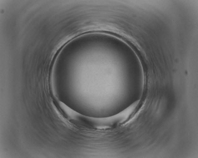 X0000065991513200603031142