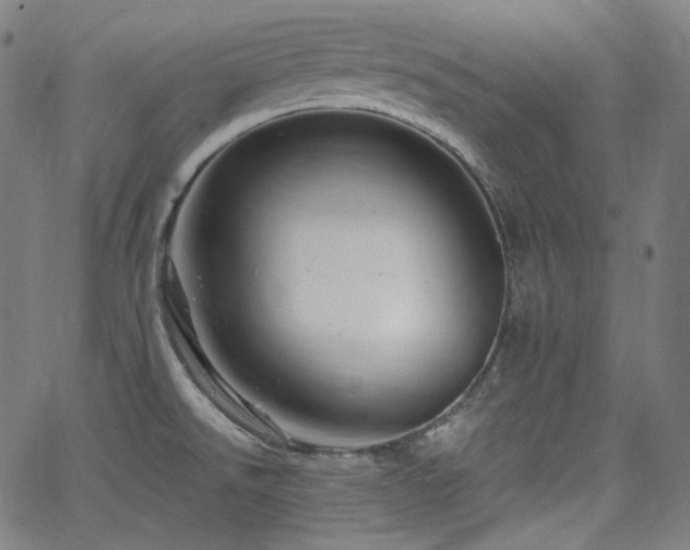 X0000065991526200603031142