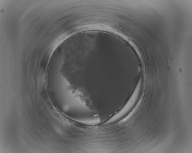 X0000065991529200603031142